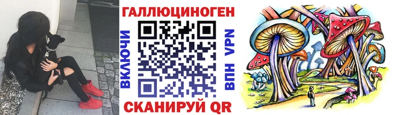 кракен зеркало  Коммунар  Псилоцибиновые грибы Psilocybe 